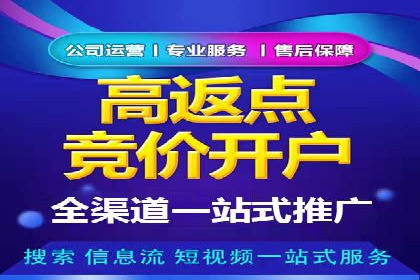 SEM外包在金融行业的应用案例分析